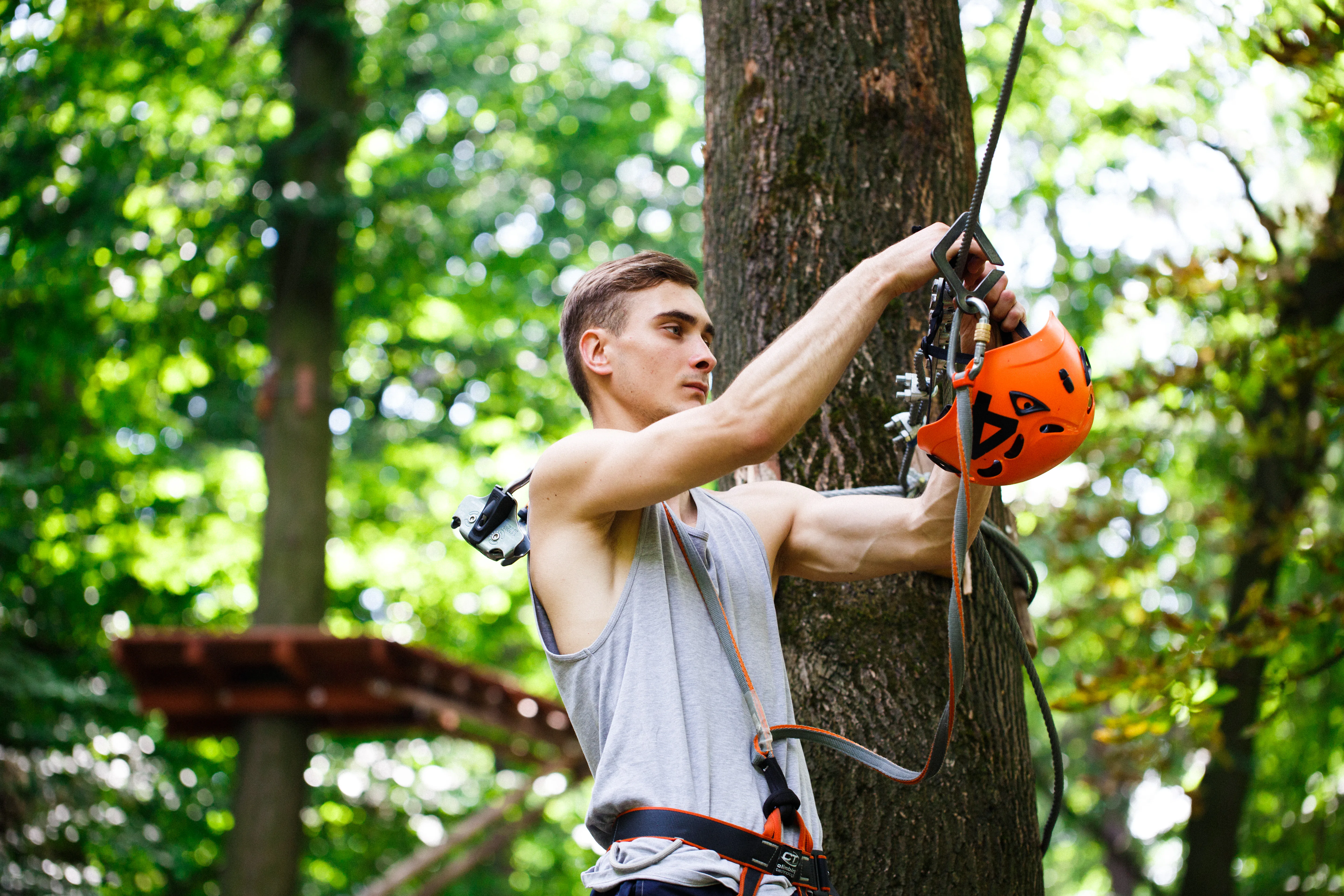Arborist rigging climbing ropes before ascending a tree